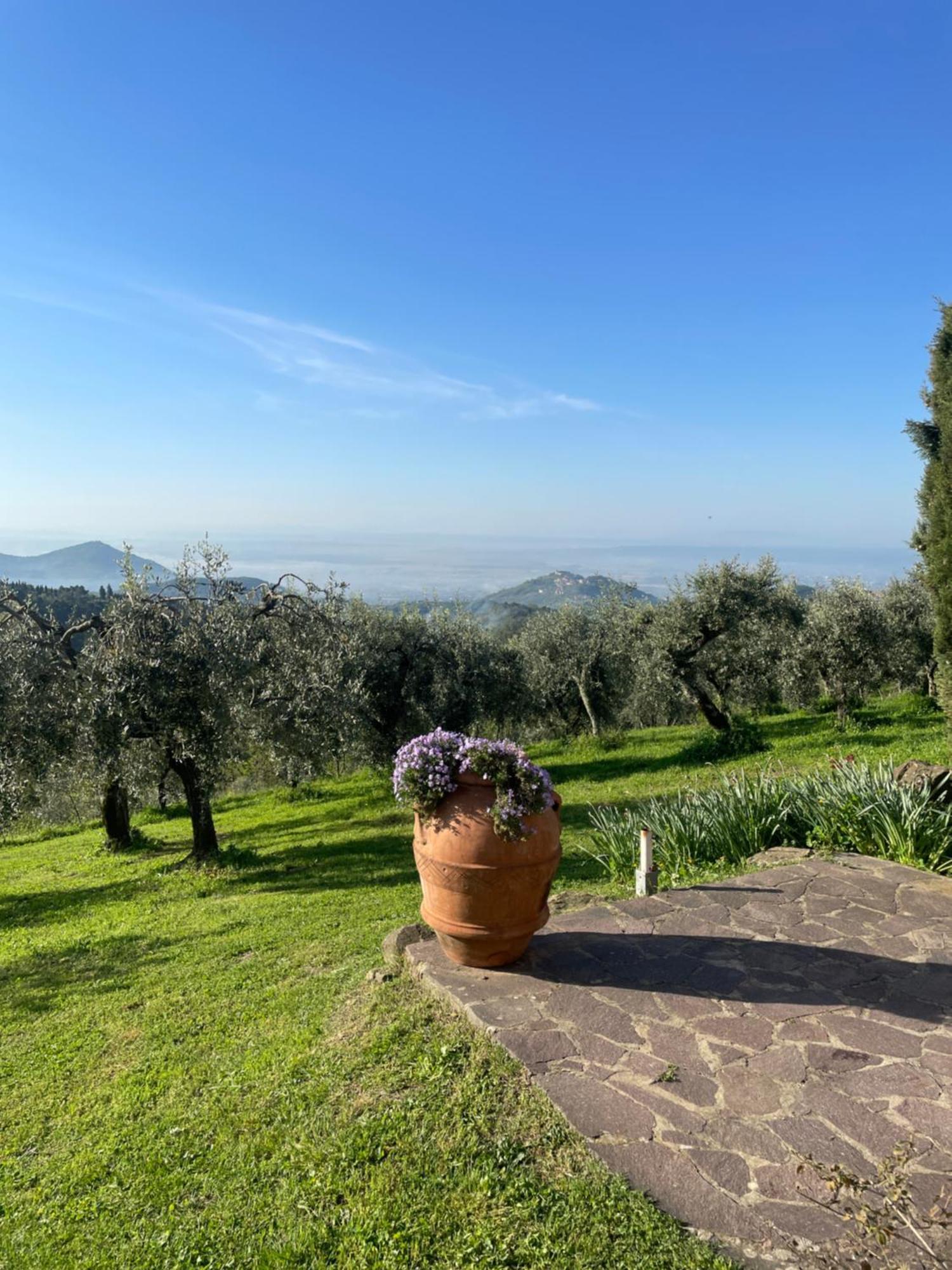 Podere Il Poggio